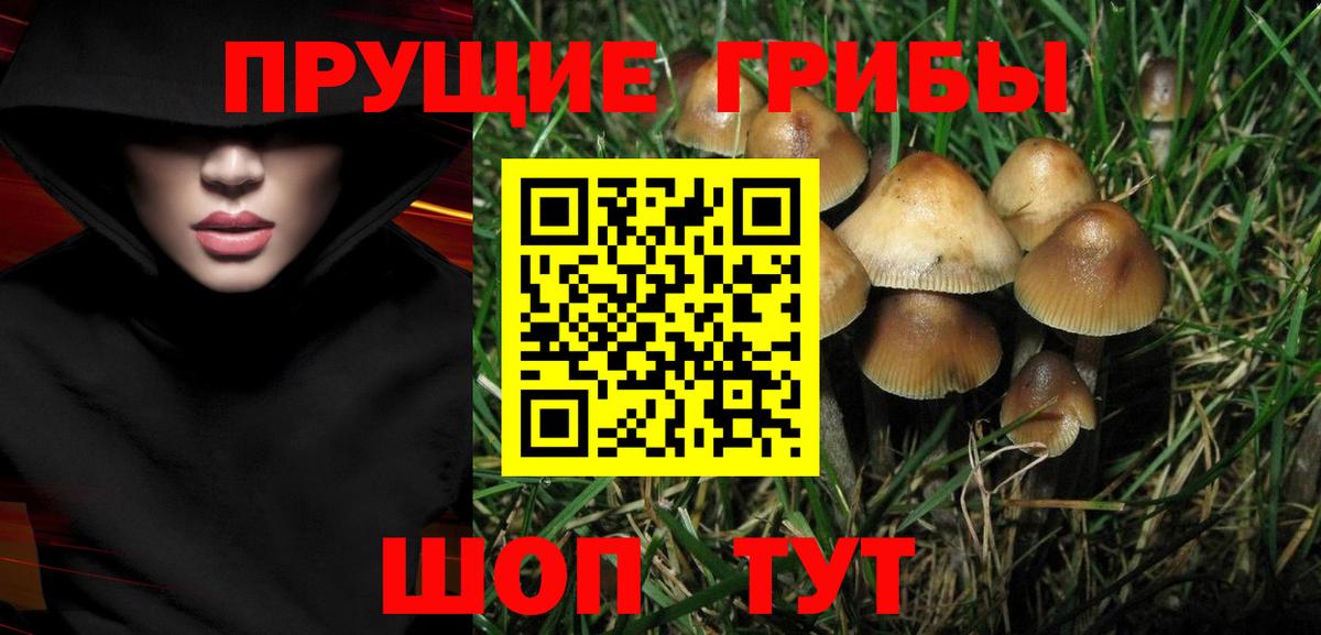 Псилоцибиновые грибы GOLDEN TEACHER  Вход с VPN  Стрежевой 